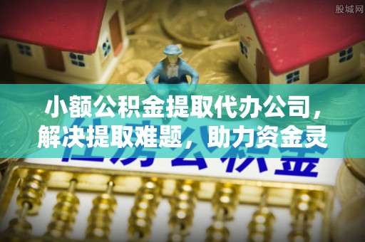 桐乡小额公积金提取代办公司，解决提取难题，助力资金灵活使用