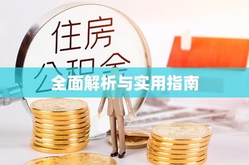 桐乡全面解析与实用指南