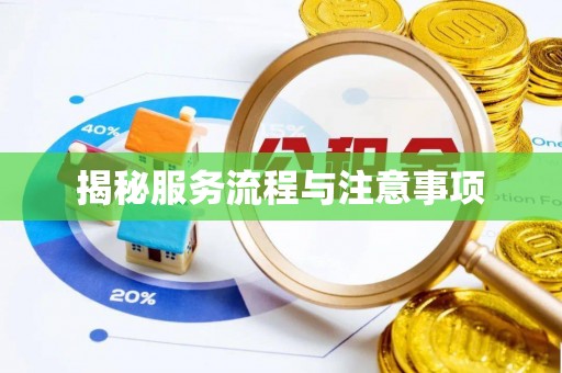 桐乡揭秘服务流程与注意事项