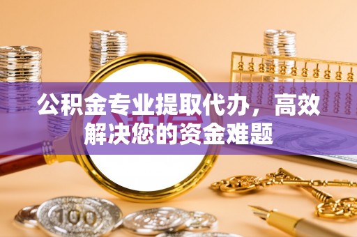 桐乡公积金专业提取代办，高效解决您的资金难题