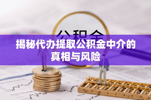 桐乡揭秘代办提取公积金中介的真相与风险