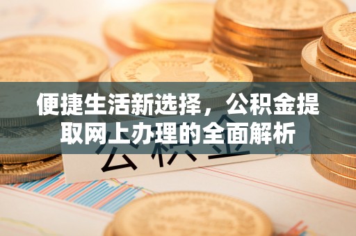 桐乡便捷生活新选择，公积金提取网上办理的全面解析