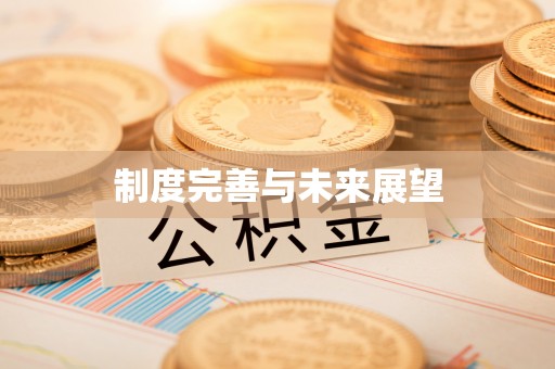 桐乡制度完善与未来展望