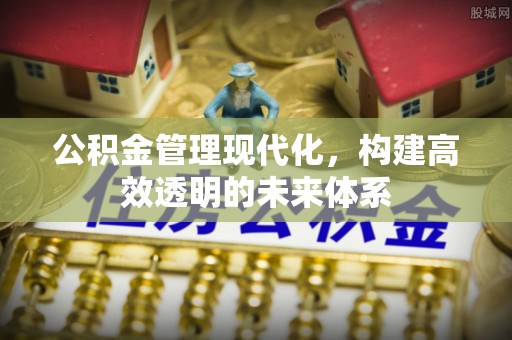桐乡公积金管理现代化，构建高效透明的未来体系