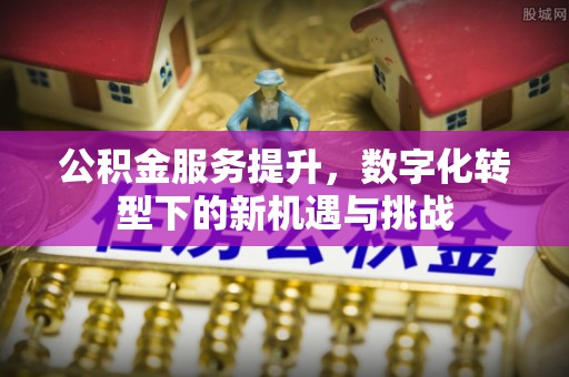 桐乡公积金服务提升，数字化转型下的新机遇与挑战