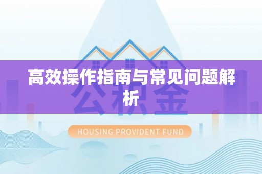 桐乡高效操作指南与常见问题解析