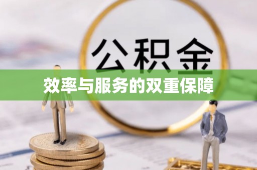 桐乡效率与服务的双重保障