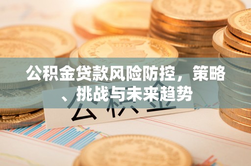 桐乡公积金贷款风险防控，策略、挑战与未来趋势