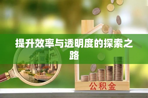 桐乡提升效率与透明度的探索之路