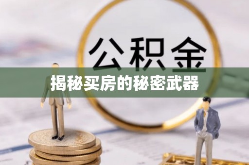 桐乡揭秘买房的秘密武器