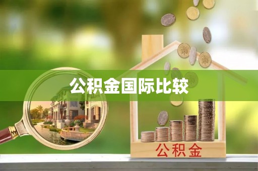 桐乡公积金国际比较