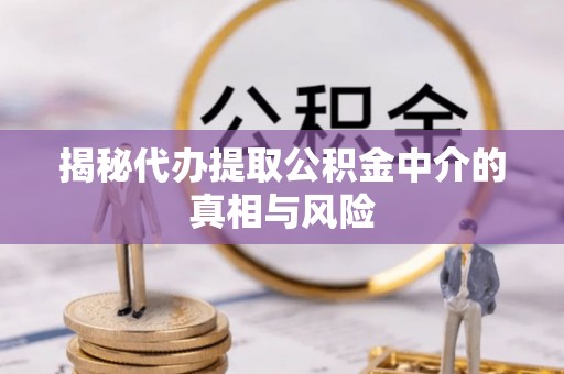 桐乡揭秘代办提取公积金中介的真相与风险