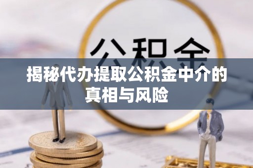 桐乡揭秘代办提取公积金中介的真相与风险