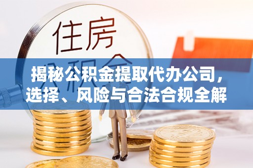 桐乡揭秘公积金提取代办公司，选择、风险与合法合规全解析