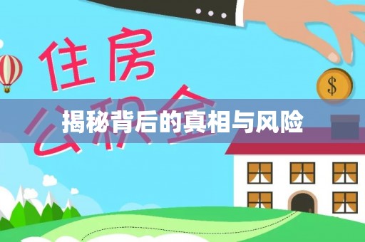 桐乡揭秘背后的真相与风险