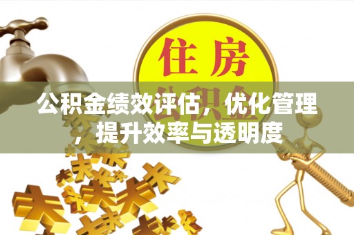 桐乡公积金绩效评估，优化管理，提升效率与透明度