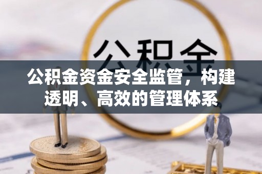 桐乡公积金资金安全监管，构建透明、高效的管理体系
