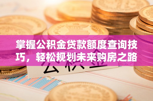 桐乡掌握公积金贷款额度查询技巧，轻松规划未来购房之路