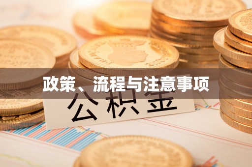 桐乡政策、流程与注意事项