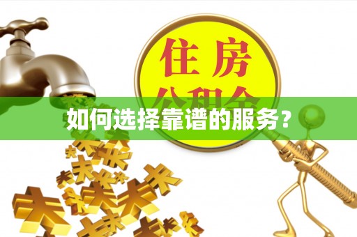 桐乡如何选择靠谱的服务？