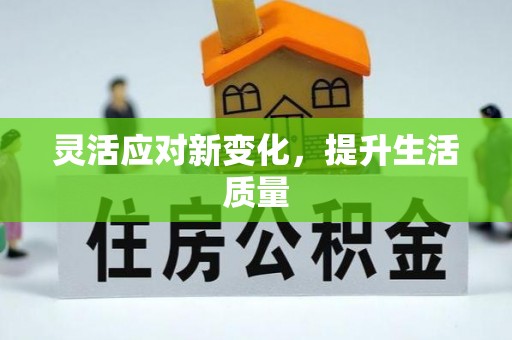 桐乡灵活应对新变化，提升生活质量