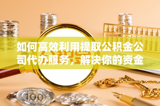 桐乡如何高效利用提取公积金公司代办服务，解决你的资金难题