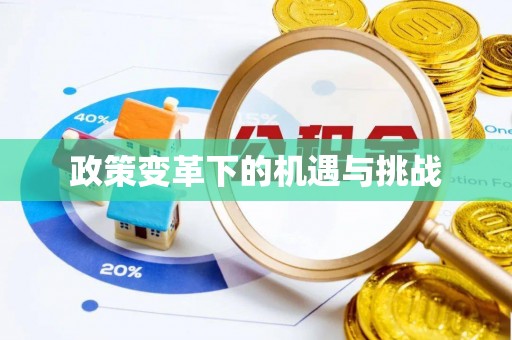 桐乡政策变革下的机遇与挑战