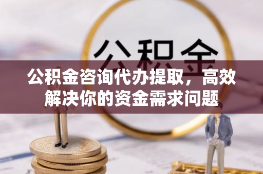 桐乡公积金咨询代办提取，高效解决你的资金需求问题