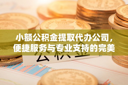 桐乡小额公积金提取代办公司，便捷服务与专业支持的完美结合