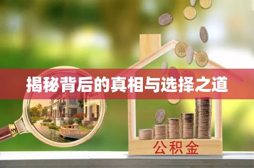 桐乡揭秘背后的真相与选择之道