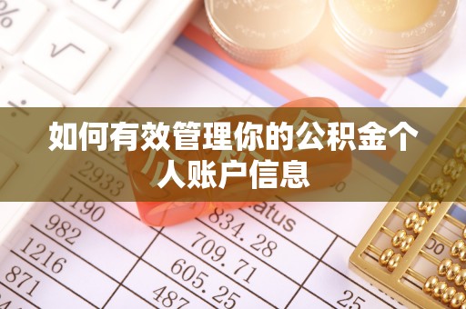 桐乡如何有效管理你的公积金个人账户信息
