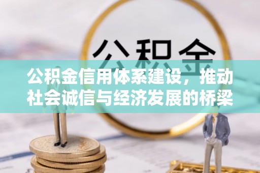 桐乡公积金信用体系建设，推动社会诚信与经济发展的桥梁