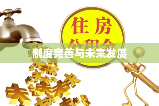 桐乡制度完善与未来发展