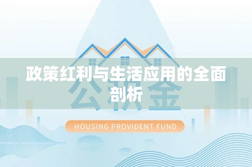桐乡政策红利与生活应用的全面剖析