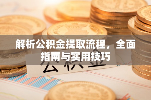 桐乡解析公积金提取流程，全面指南与实用技巧