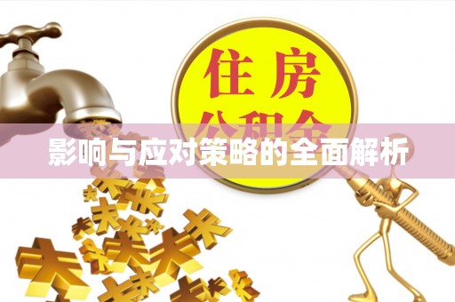 桐乡影响与应对策略的全面解析