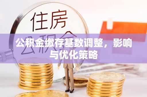 桐乡公积金缴存基数调整，影响与优化策略