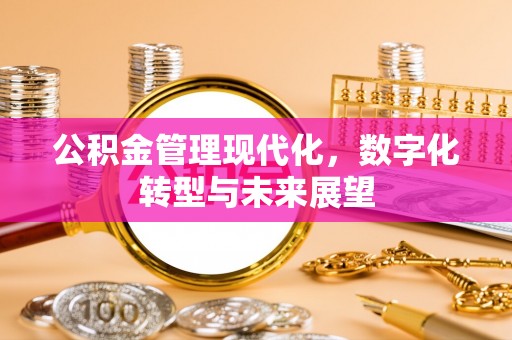 桐乡公积金管理现代化，数字化转型与未来展望
