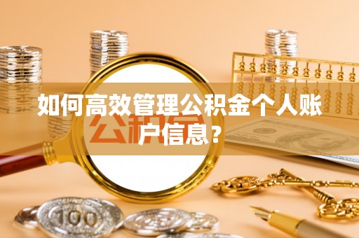 桐乡如何高效管理公积金个人账户信息？