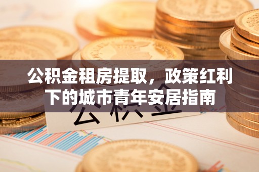 桐乡公积金租房提取，政策红利下的城市青年安居指南
