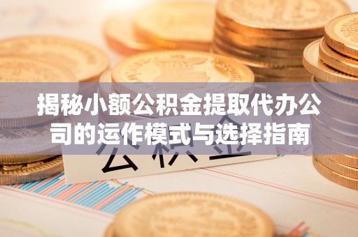 桐乡揭秘小额公积金提取代办公司的运作模式与选择指南