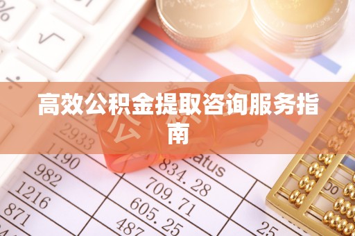 桐乡高效公积金提取咨询服务指南