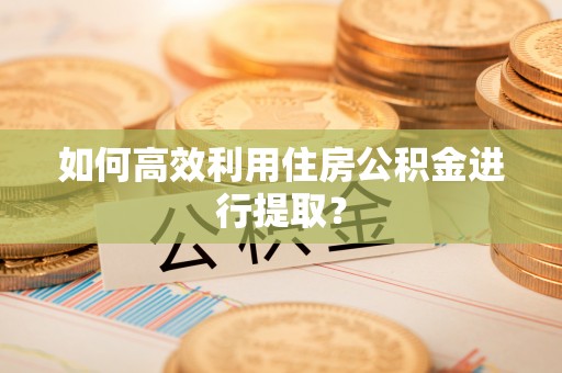 桐乡如何高效利用住房公积金进行提取？