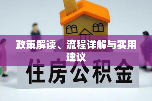 桐乡政策解读、流程详解与实用建议