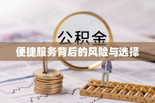 桐乡便捷服务背后的风险与选择