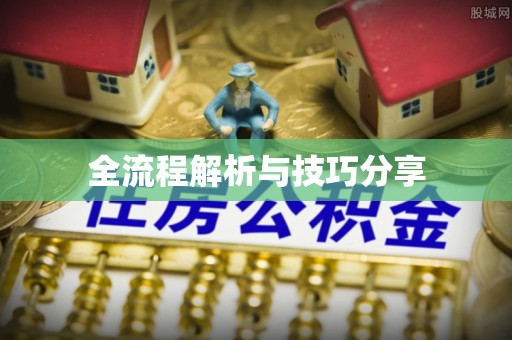 桐乡全流程解析与技巧分享