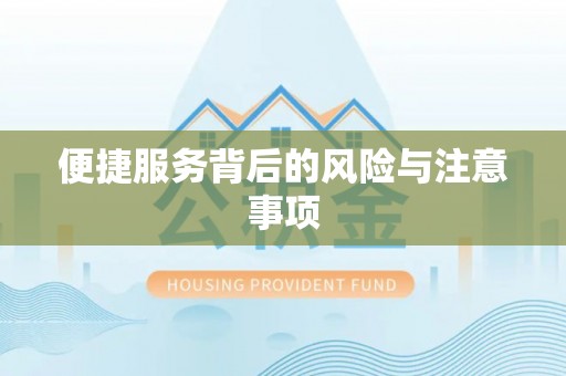 桐乡便捷服务背后的风险与注意事项